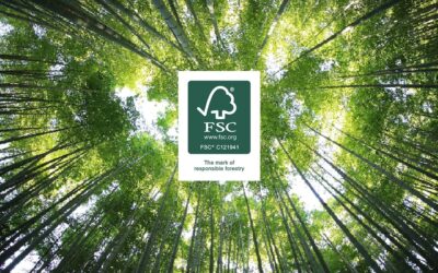 Following the Green Trail: Why FSC® Wood Matters in Timber Trading, with ReshaWood Leading the Way