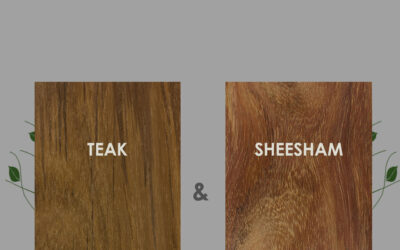 Solid Wood Showdown: Exploring Sheesham and Teak